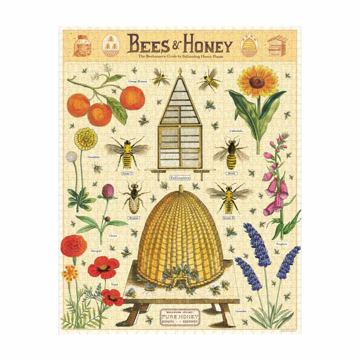 Cavallini & Co Bees & Honey Jigsaw Puzzle 1000 Piece