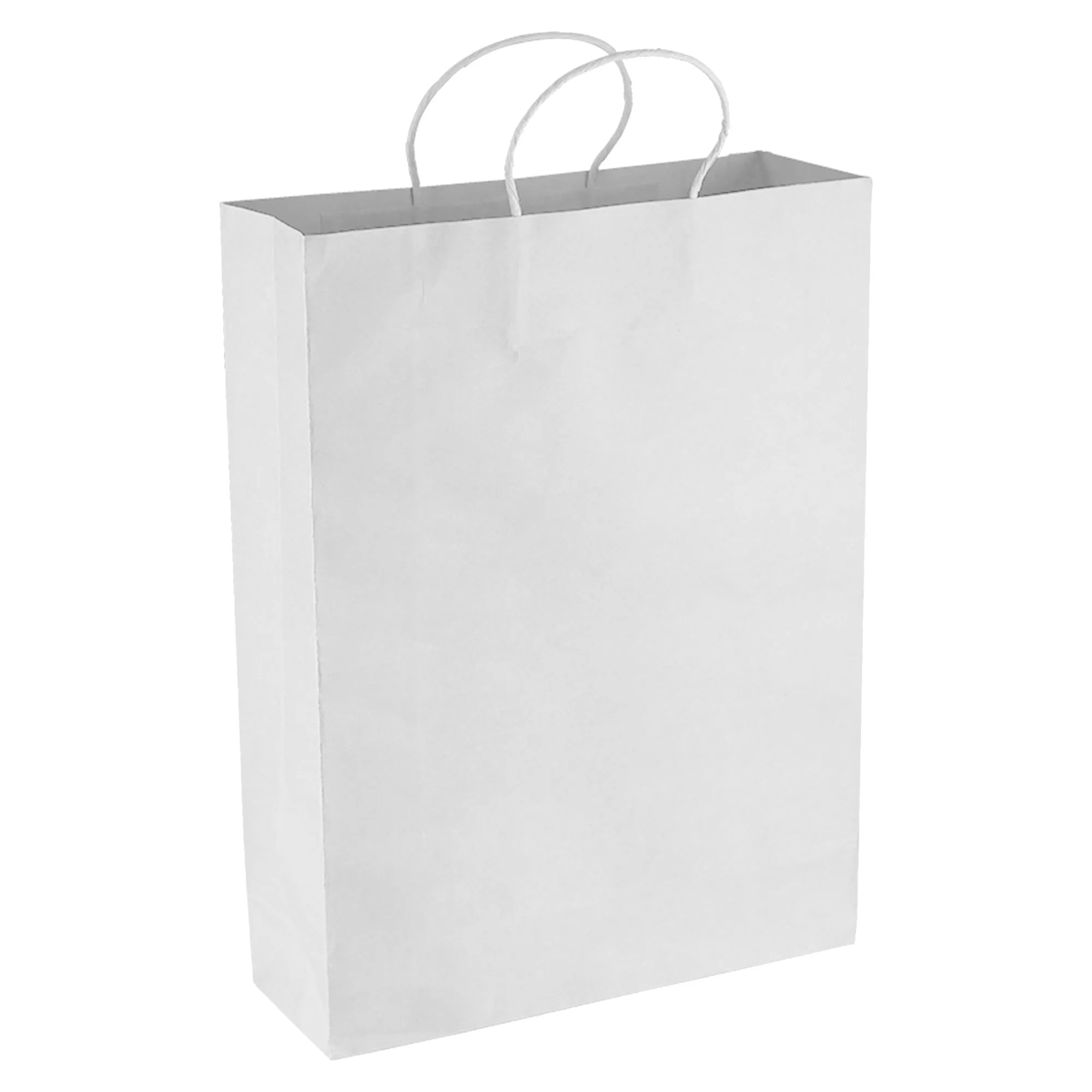 Paper Kraft Shopping Bag PPB007-24H