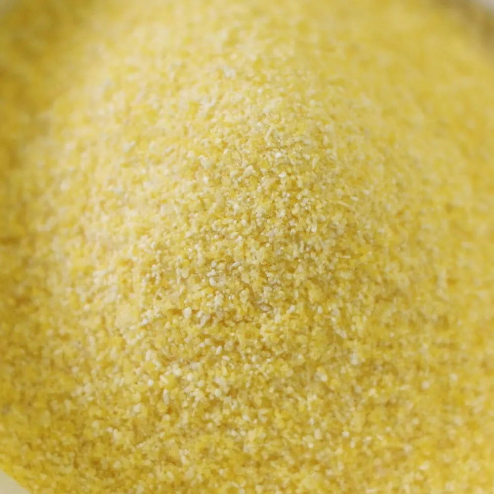 Rainy Day Foods Gluten-Free Cornmeal 5 Gallon 32 lbs Super Pail - 415 Servings