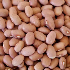 Rainy Day Foods Pink Beans 25 lbs Bag - 108 Servings